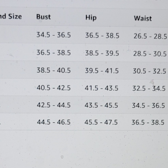 NWT ELEGANT FLOWING FLOUNCE TOP HIGH WAISTED SWIM BATHING SUIT LARGE BIKINI - Picture 8 of 12